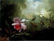 Martin Johnson Heade Cattleya Orchid Three Brazilian Hummingbirds France oil painting artist
